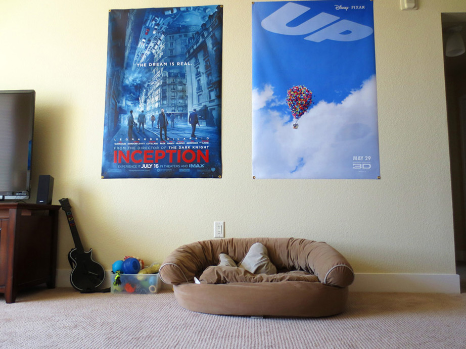 Inception Up Movie Poster Banner